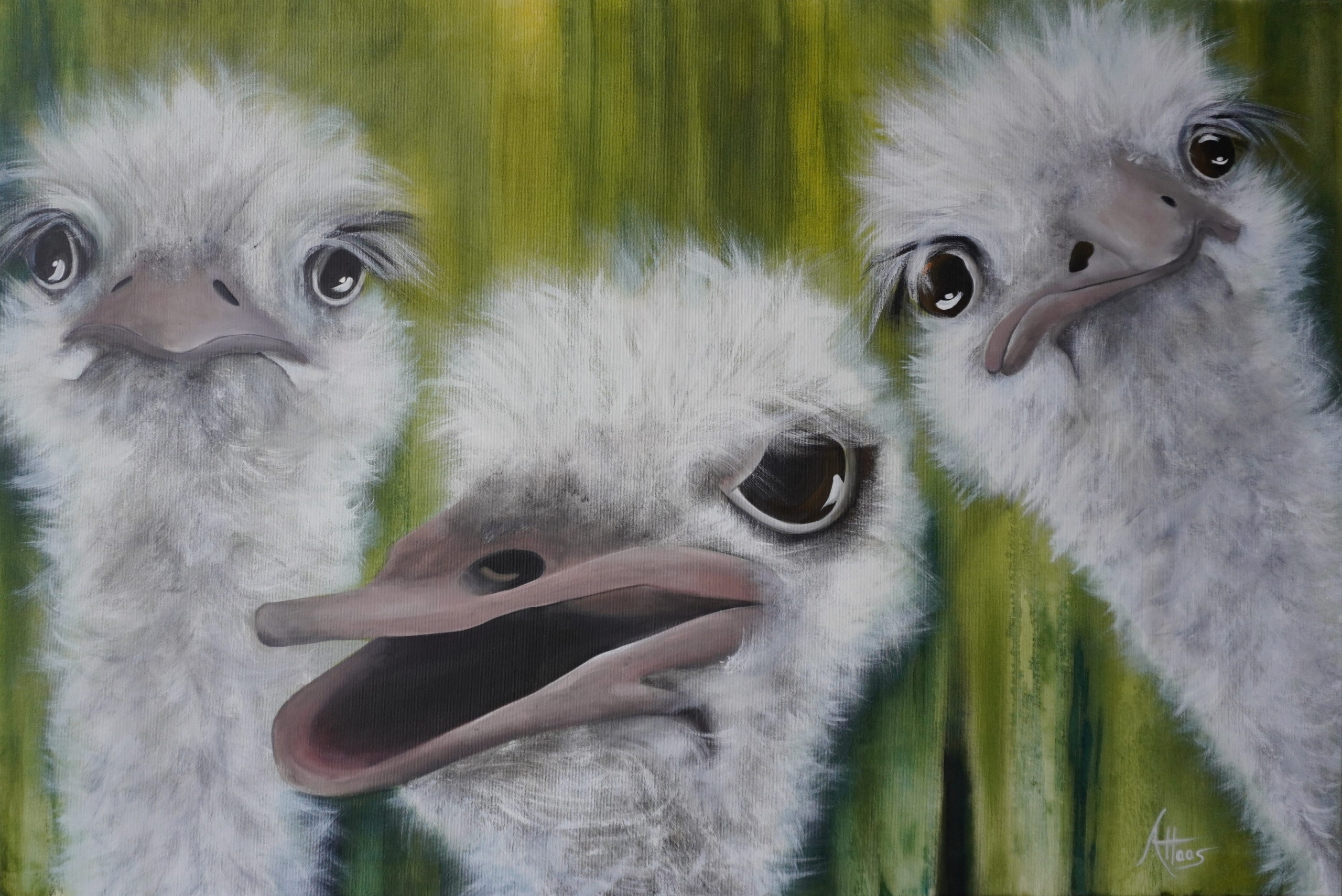 Ja, wir sind der gleichen Meinung, Acryl auf Leinwand, Es sind drei Vogelsträuße dargestellt. Einer von ihnen hat den Schnabel offen, die anderen beiden schauen richtig doof. Der Hintergrung für die Tiere ist grün.